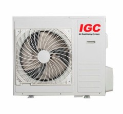 Igc RAM3-X27URH (внешний блок)