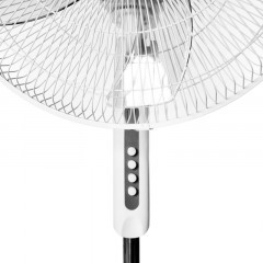 Ballu BFF-802 (вентилятор напольный)