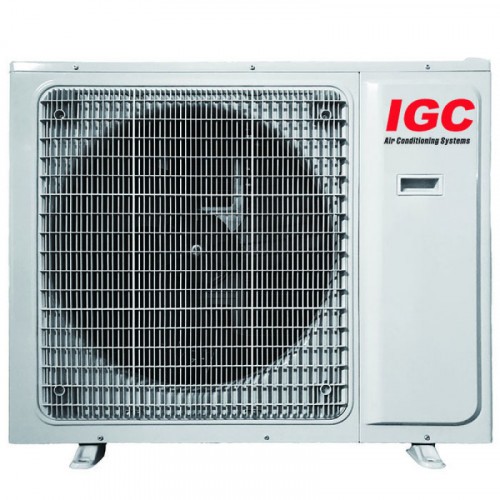Igc RAM2-X14UNH (внешний блок)
